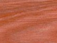 Sydney Blue Gum Sydney Blue Gum